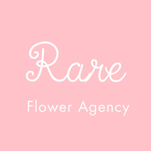 Creative Agency Video Production | Digital Marketing | Influencer Management